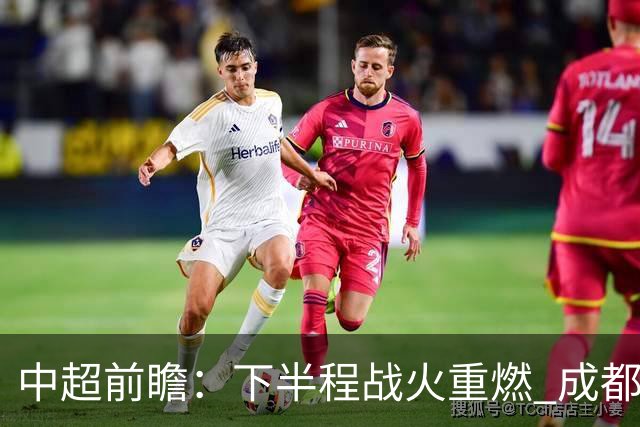 中超前瞻：下半程战火重燃 成都剑指三分申花求反弹